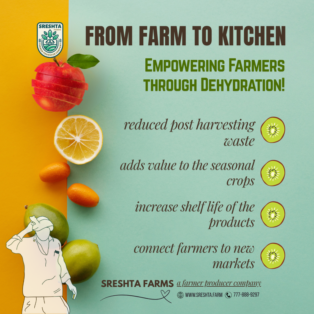 Sreshta Farms Instant Juice Powder for Blood Sugar Control view 2