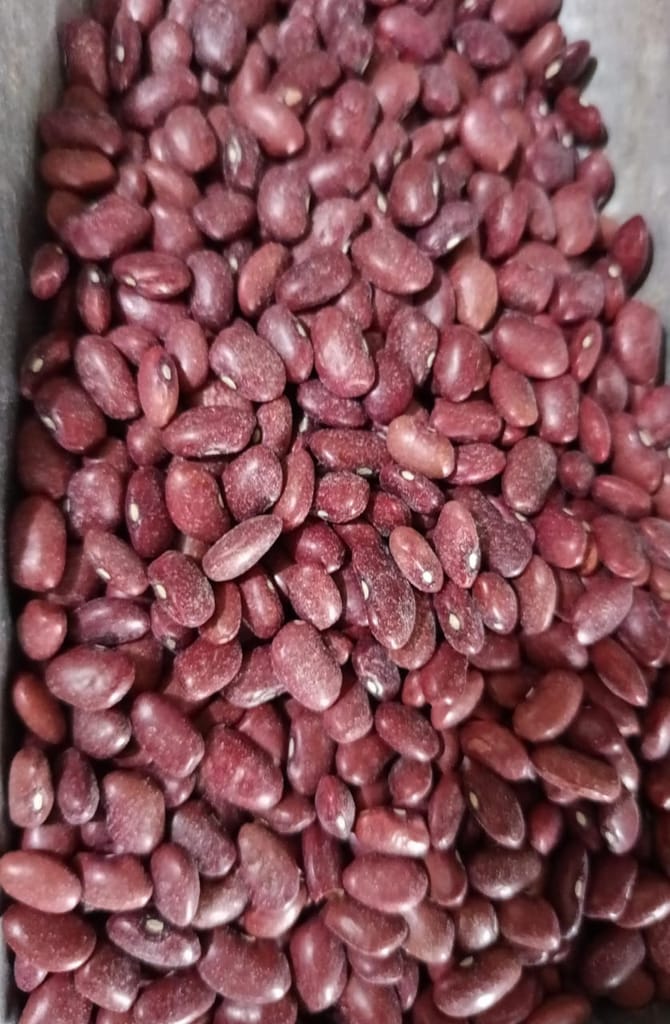 Red Kidney Beans, 500 gm view 2