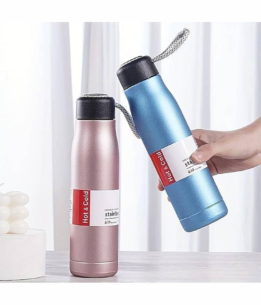 BD Stainless Steel Water Bottle with Rope Handle Assorted Stainless Steel Water Bottle 500 mL ( Set of 1 ) view 2
