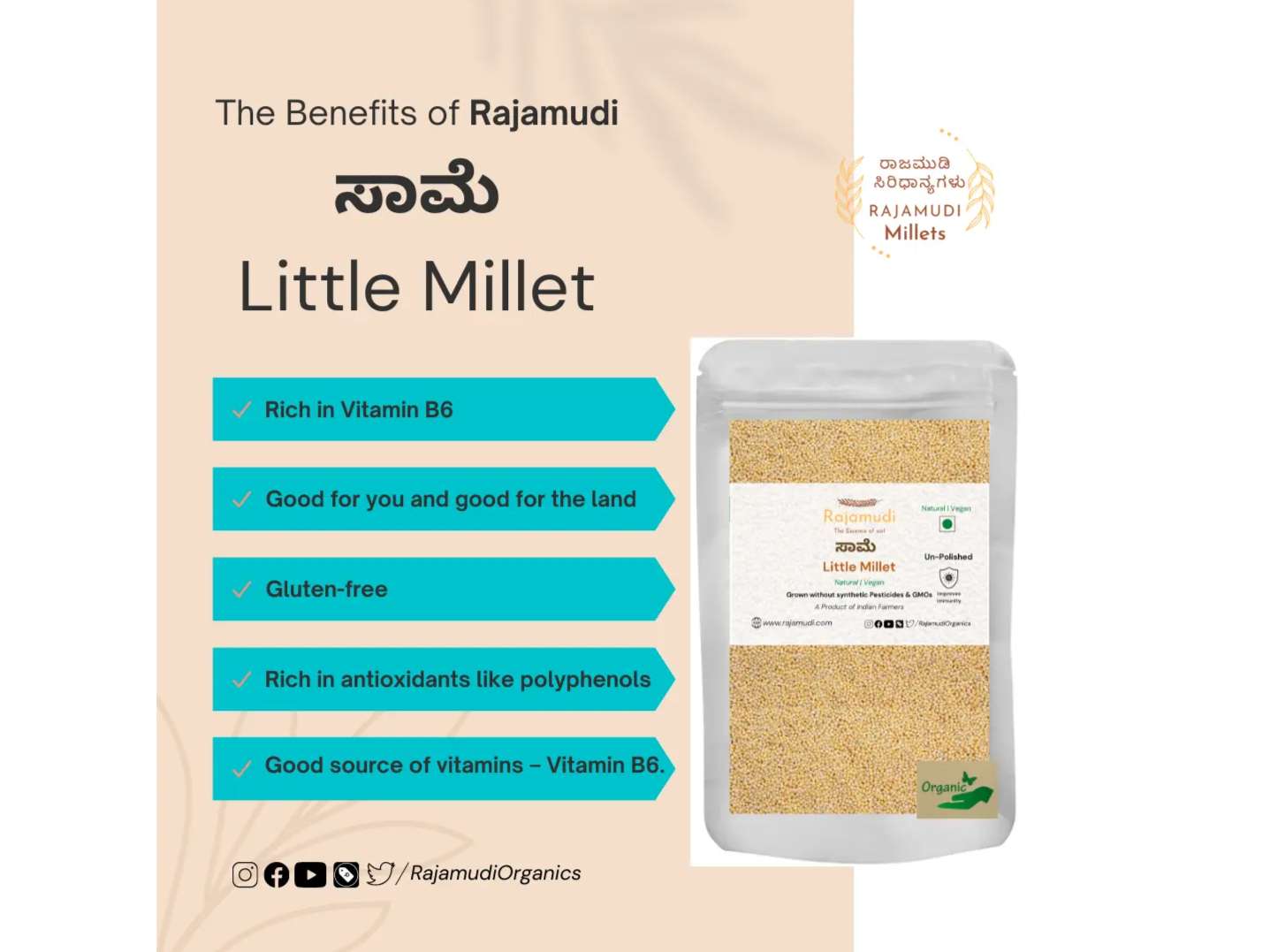 Rajamudi Organics Saame - Little Millet - 500 Gram view 2