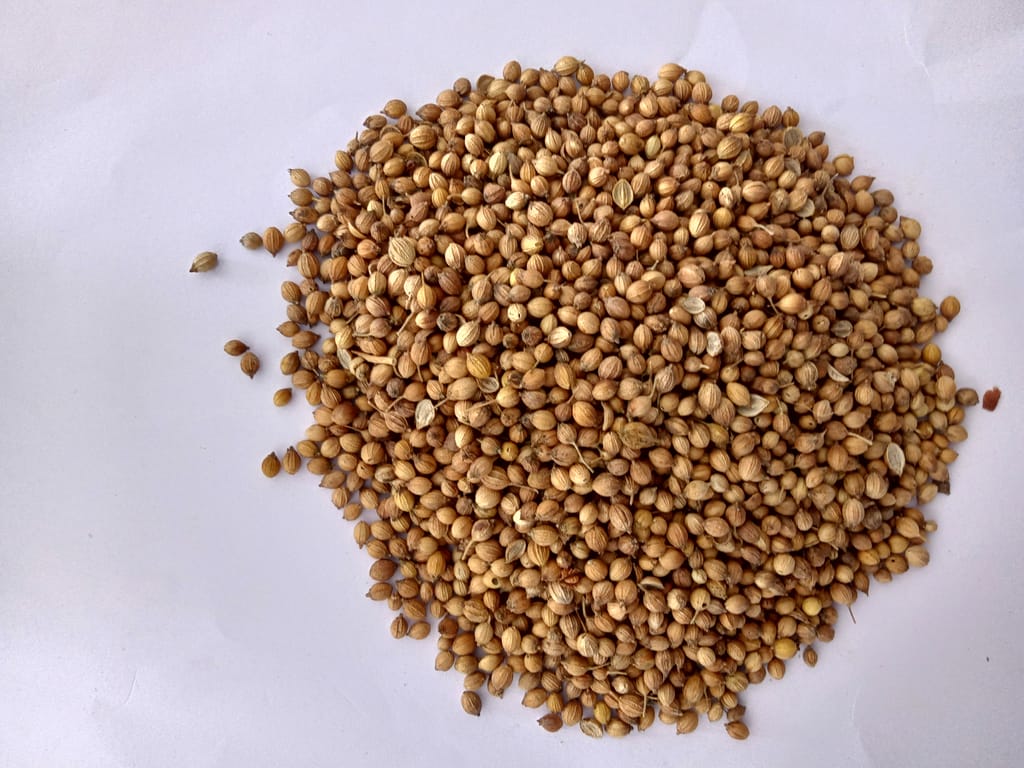 Gota Dhania 200 gm view 2