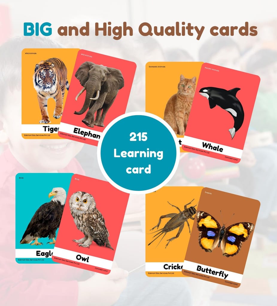 Children Flash Cards - Premium Educational Flashcards Combo of 2 Sets (Veggies, Fruits and Dairy and Second Set Vehicles, Seasons & Occupations) view 2