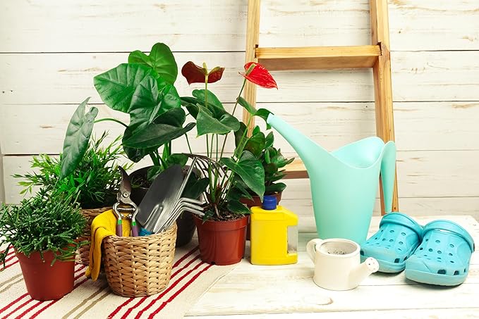 DIVINE TREE Garden Watering Can (1.8 LTR,Sky Blue) view 2