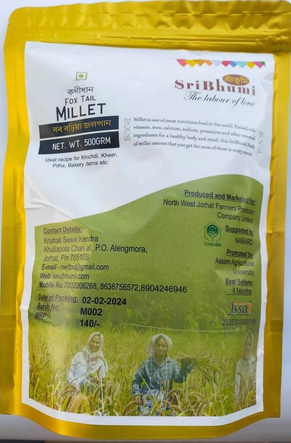 FOX TAIL MILLET - 500 gm - one packet