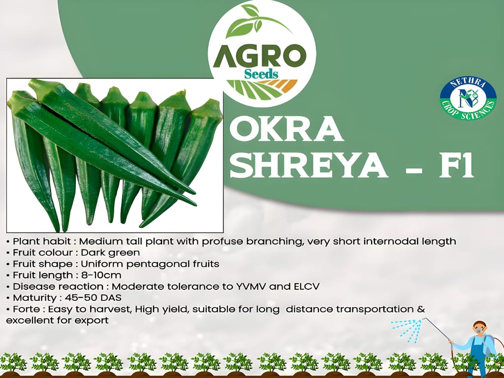 Agro Seeds Ladys Finger (Bhindi) 25 + Seeds Vegetable Seeds for Home Garden, 0rganic & Hybrid, Perfect for Home Gardening, Planting For Pots and Patio
