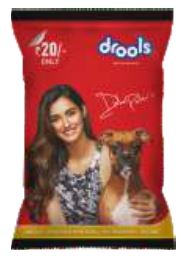 Drools Dn Adult 100 Gms