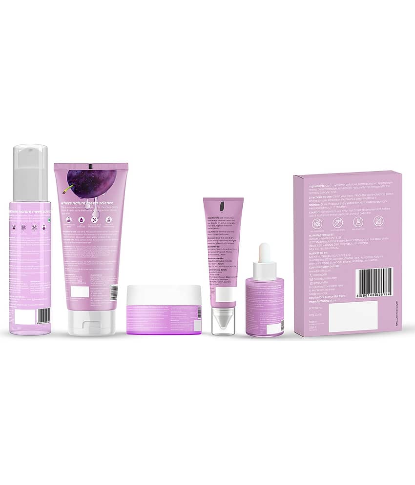 The Plant Fix Plix Jamun Active Acne Kit, Toner, Serum, Facewash, Moisturizer, Gel & FREE Acne Patch (6 Items in the set) view 2