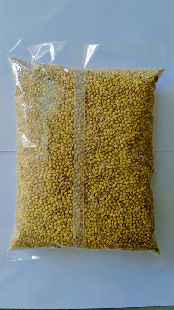 Coriander - Whole view 2