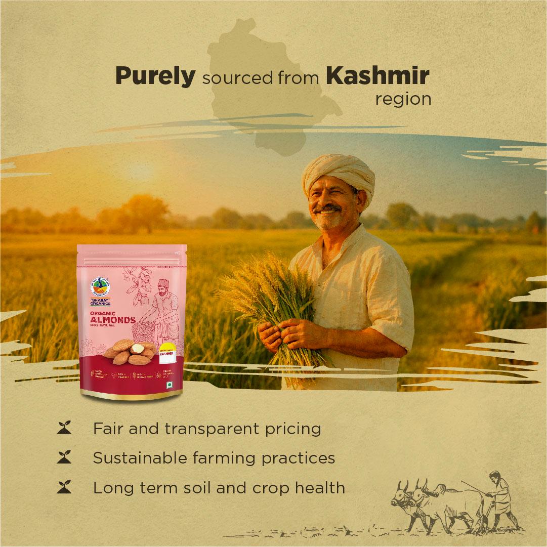 Organic Kashmiri Almonds - Bharat Organics view 2