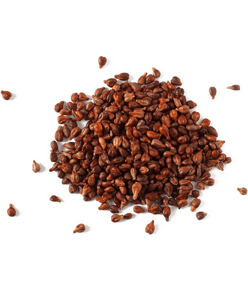 homeagro - Fruit Seeds ( 25 seeds ) view 2
