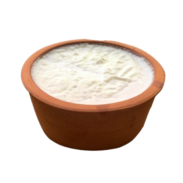 Dahi 500 Ml