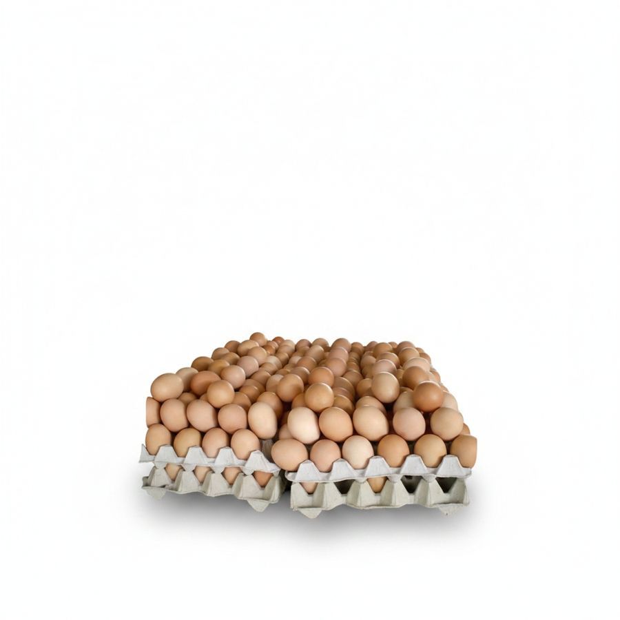 Fresh Farm Eggs - 100 gm - 500 Eggs view 2