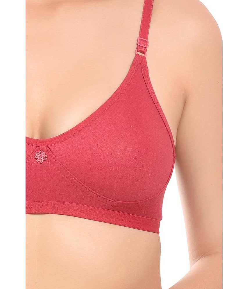 Elina Pack of 2 Cotton Non Padded Women's Everyday Bra ( Multicolor ) RM-LORIYA-PINK-PISTA view 2