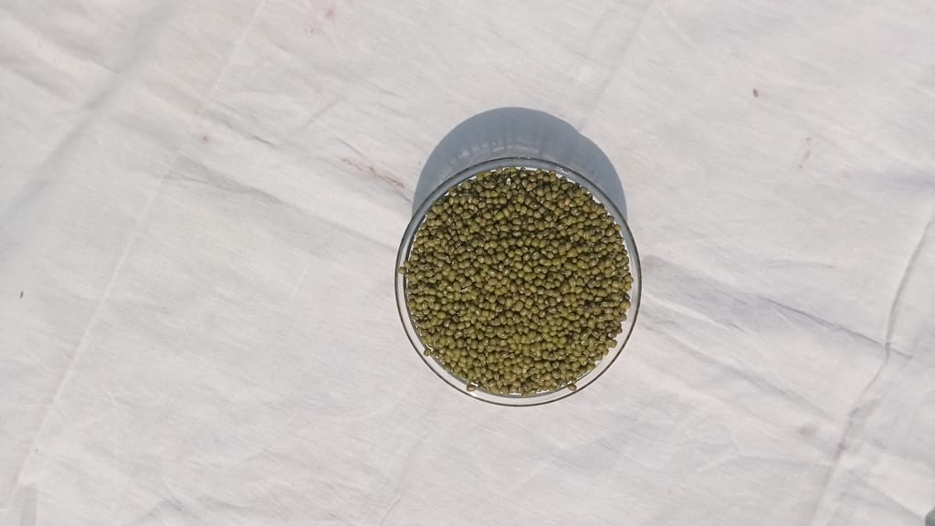 Moong