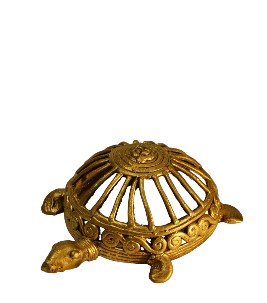 Jharcraft Tortoise (M) DK00691 view 2