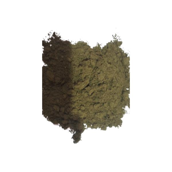 Amla Fruit Herb -1 Tola