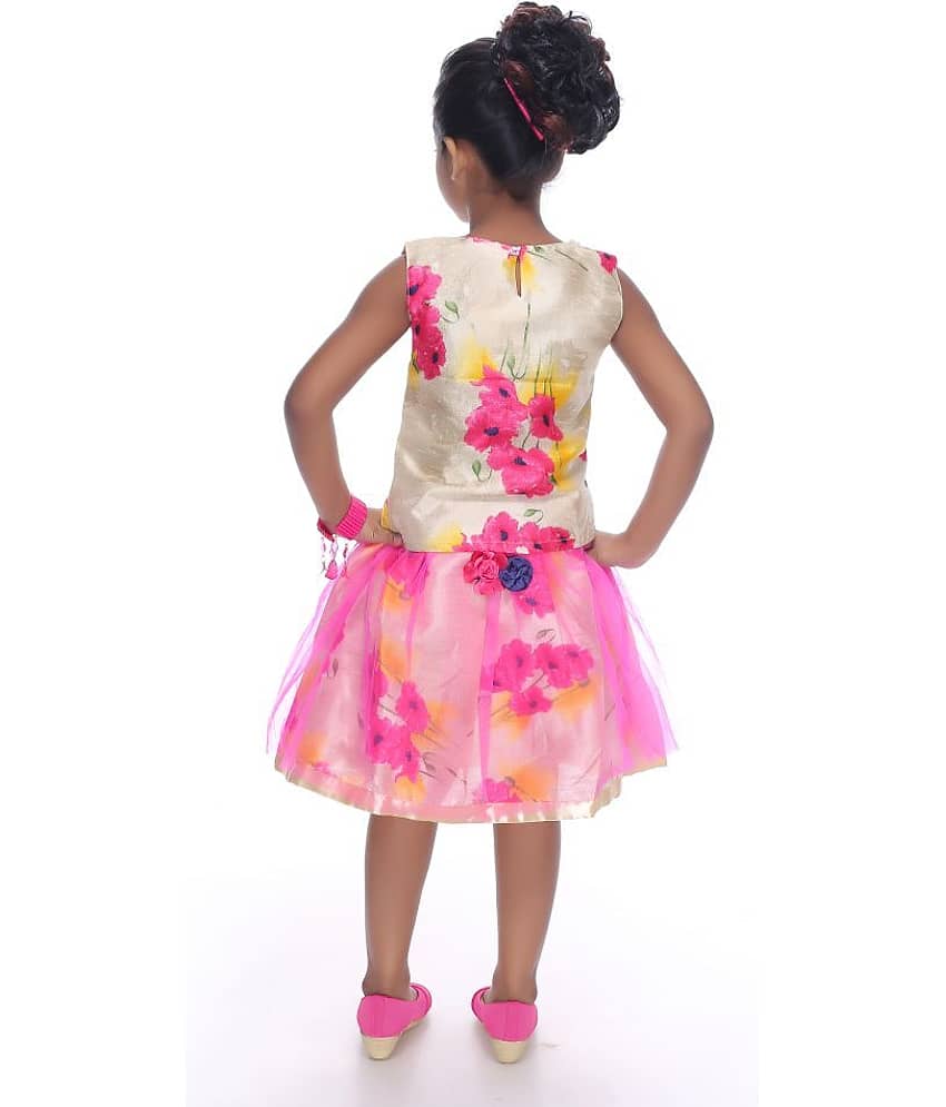 Zadmus Baby Girls Polyester Dresses ( Pink ) view 2