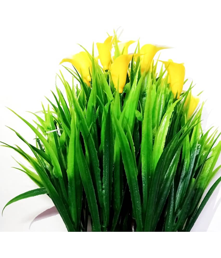 Green plant indoor Wild Flower Yellow Flowers With Pot - Pack of 2 view 2