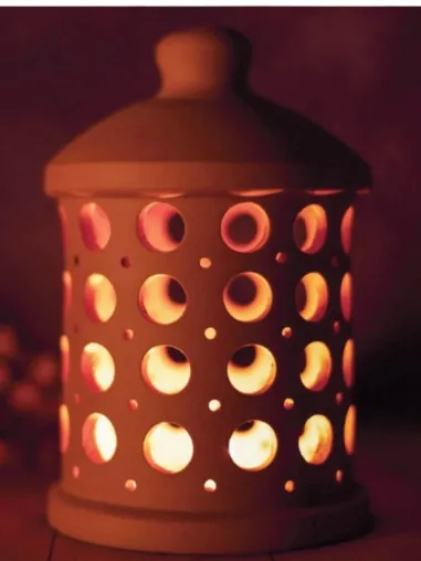 Ujala 20 Cm X 10 Cm