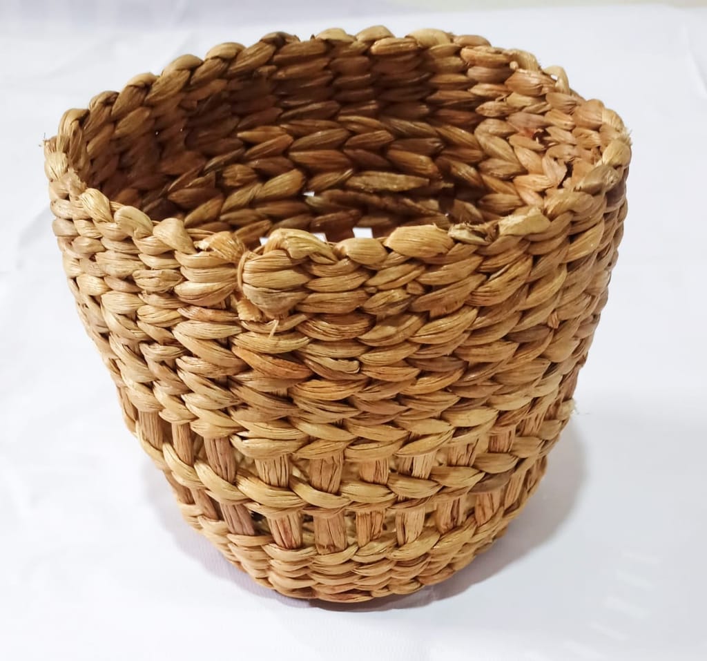 ASOMI PLANT BOWL view 2