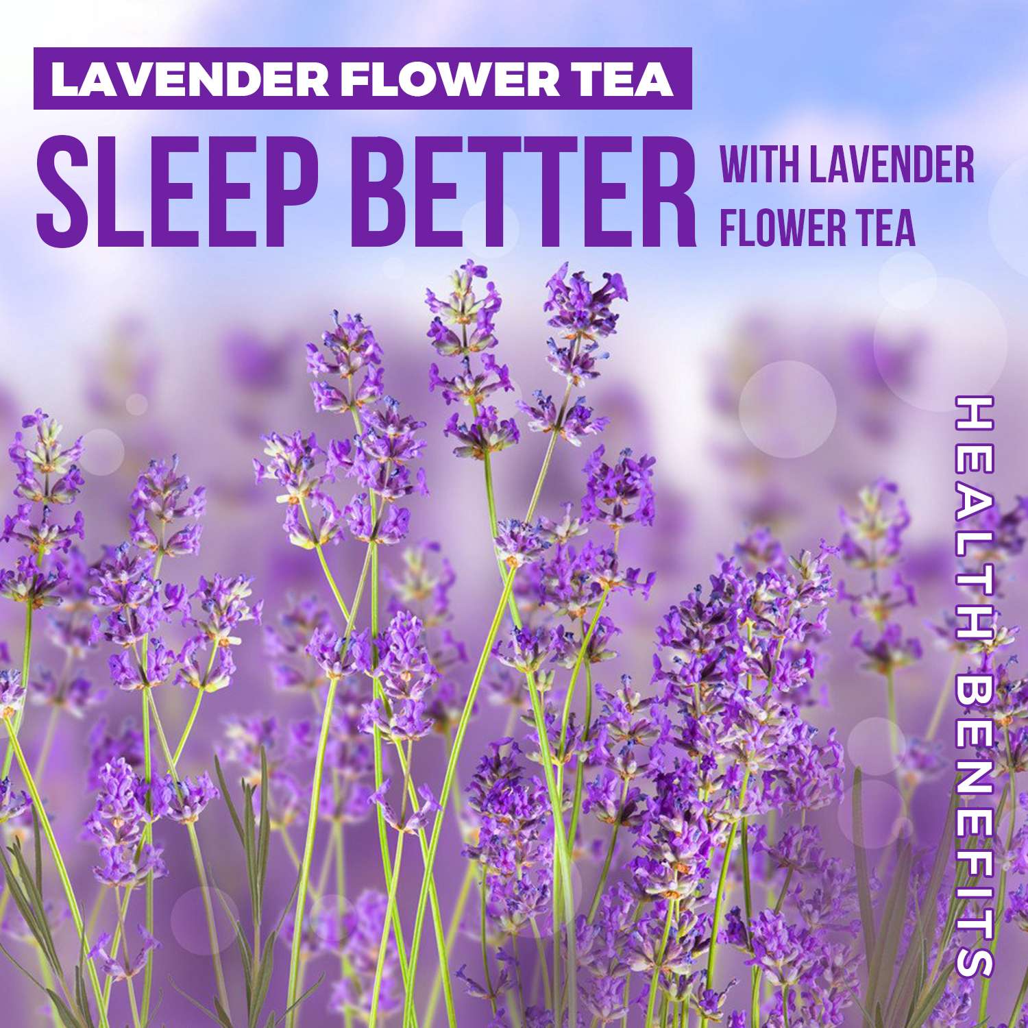 Organic Lavender Flower Tea from Sun Dried Flowers For Stress Relief 30gm view 2