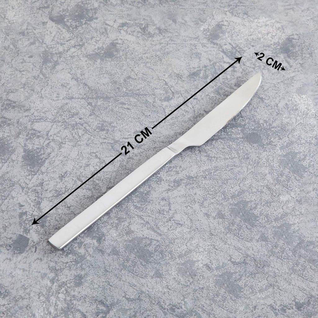 FNS Luna Premium Stainless Steel Silver Gauge Dinner/Butter Knife (Set of 2) view 2