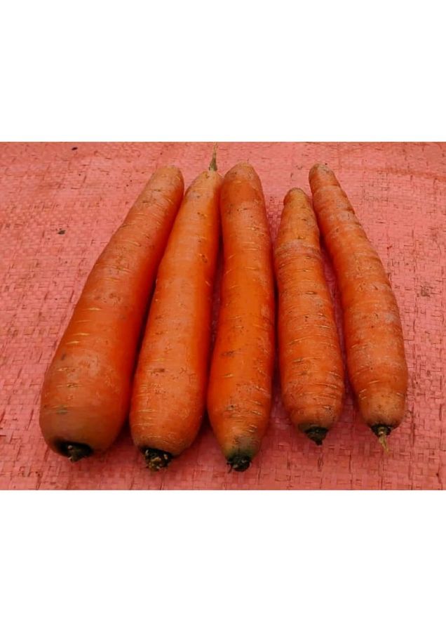 Carrot - 1 kg view 2