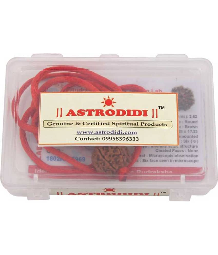 Astrodidi 6 Mukhi Rudraksha Pendant With Lab Certificate view 2