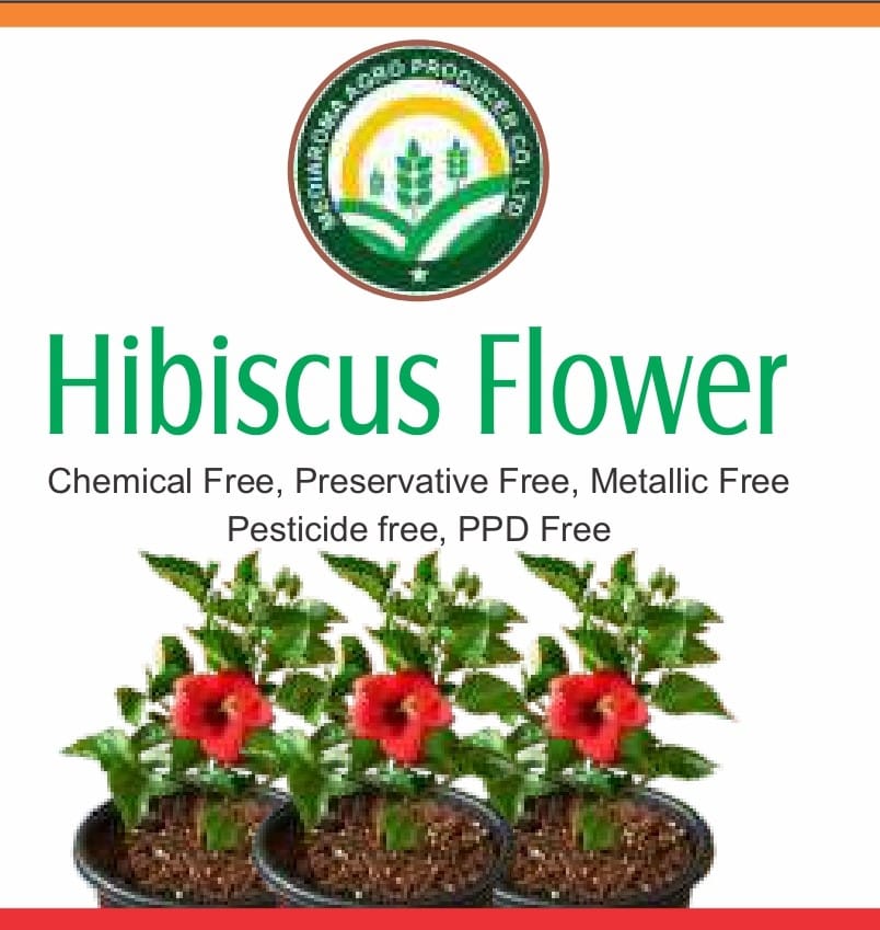 Hibiscus Flower - Chemical Free, Preservative Free, Metallic Free, Pesticide Free, PPD Free