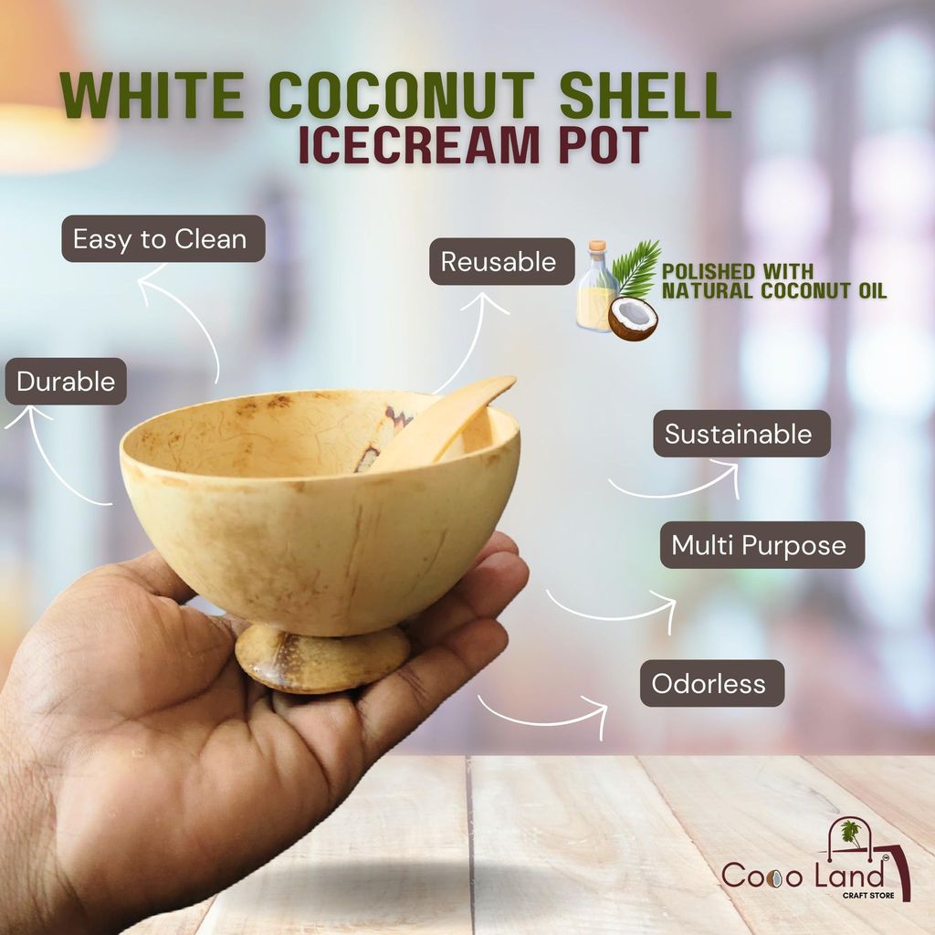 CocoLand Coconut Shell Ice Cream Pot Large Size 250 ml view 2