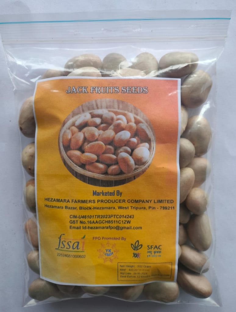 Jackfruit seed/ kathal seed view 2