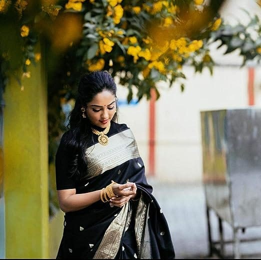 Graphic Print Banarasi Silk Saree with Border view 2