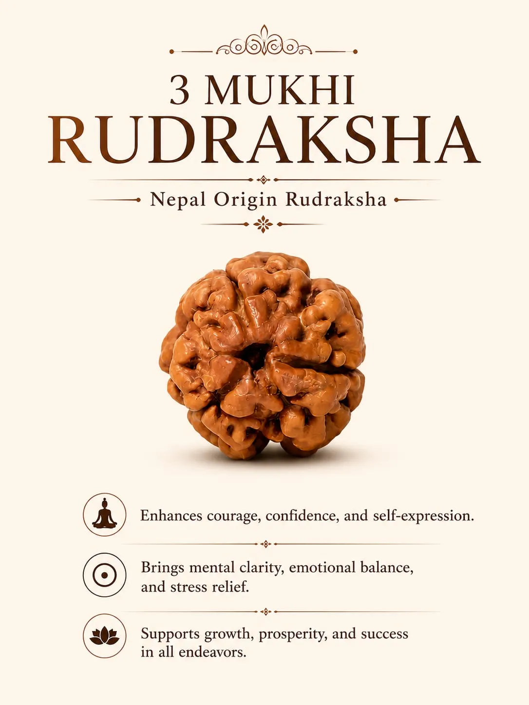 3 MUKHI (18-25 MM) RUDRAKSH NEPAL