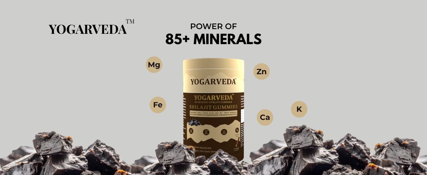 YOGARVEDA Ayurvedic Shilajit Gummies | 70% Fulvic Acid | 60 Gummies (60 Tablets) Pack of 2 view 2