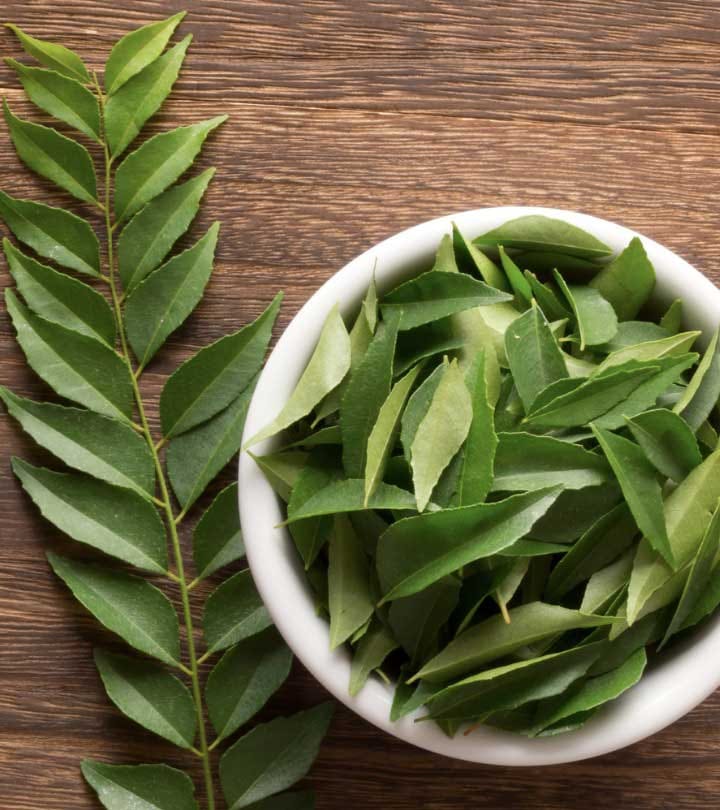 Curry tree (मीठा नीम) view 2
