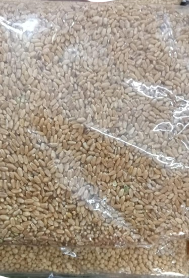 Gahu (Wheat) 1kg