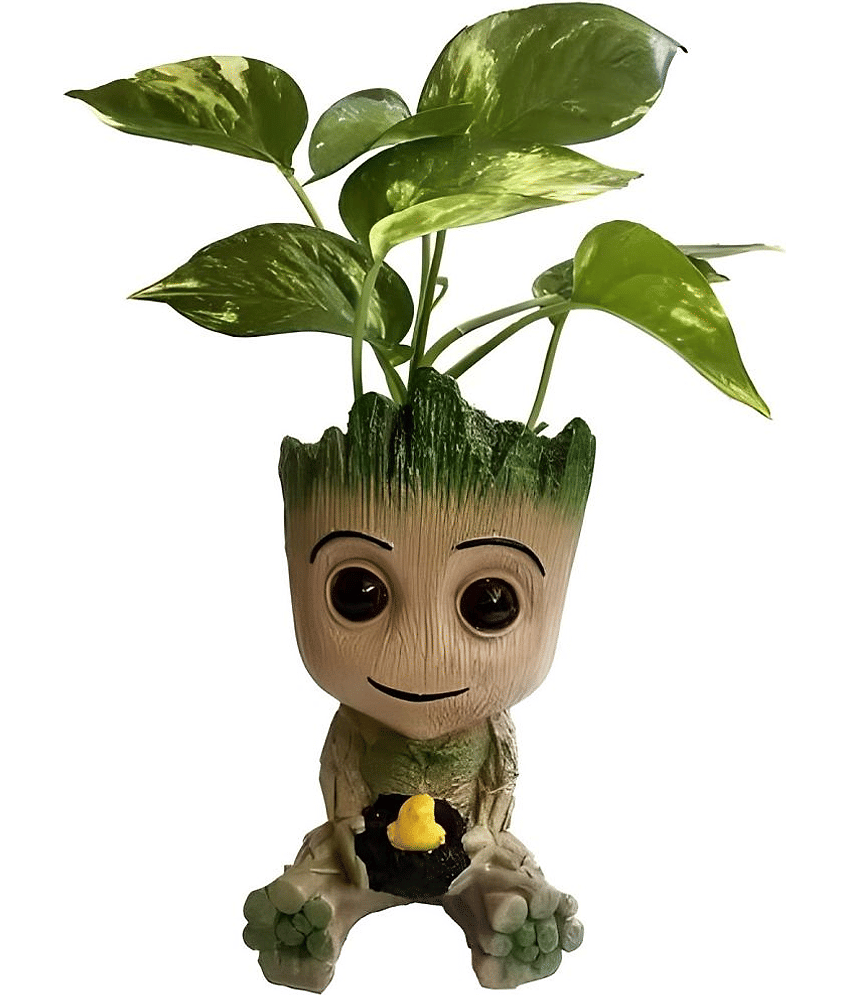 Khushi Enterprises - Decorative Pot 13 cm