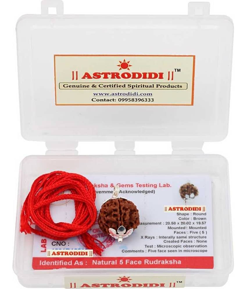 Astrodidi 5 Mukhi Rudraksha Pendant With Lab Certificate view 2