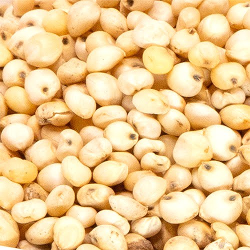 Millnuts - White Corn | Vellai Solam view 2