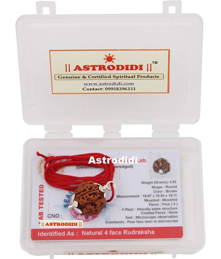 Astrodidi 4 Mukhi Four Face Rudraksha With Lab Report view 2