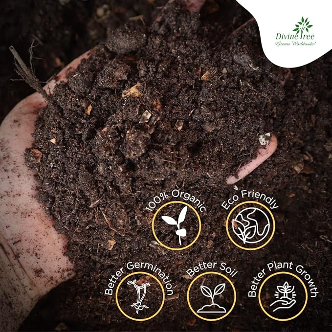 DIVINE TREE Nature Care Organic Vermicompost Fertilizer Manure for Plants - Perfect for Indoor & Outdoor Plants - Supercharge Garden Soil - Organic Fertilizer for Strong Roots and Lush Growth (900gm) view 2