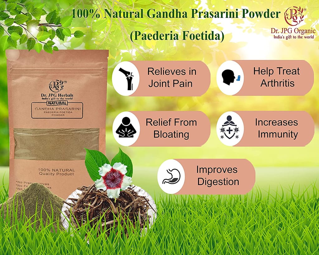 Dr. JPG Organic herbals Gandha Prasarini Powder Natural | Paederia Foetida| 100g | ISO & GMP Certified. (Pack Of 1) view 2