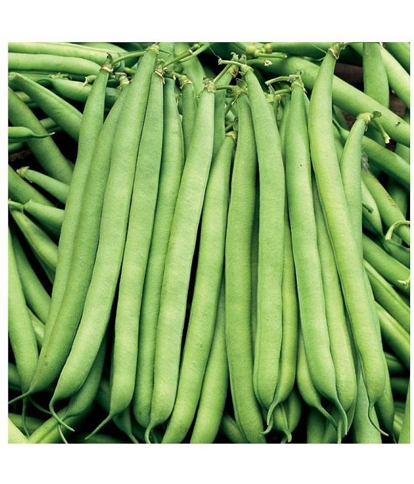 Green india vegetables frens beans hybrid ( 50 - seeds ) view 2