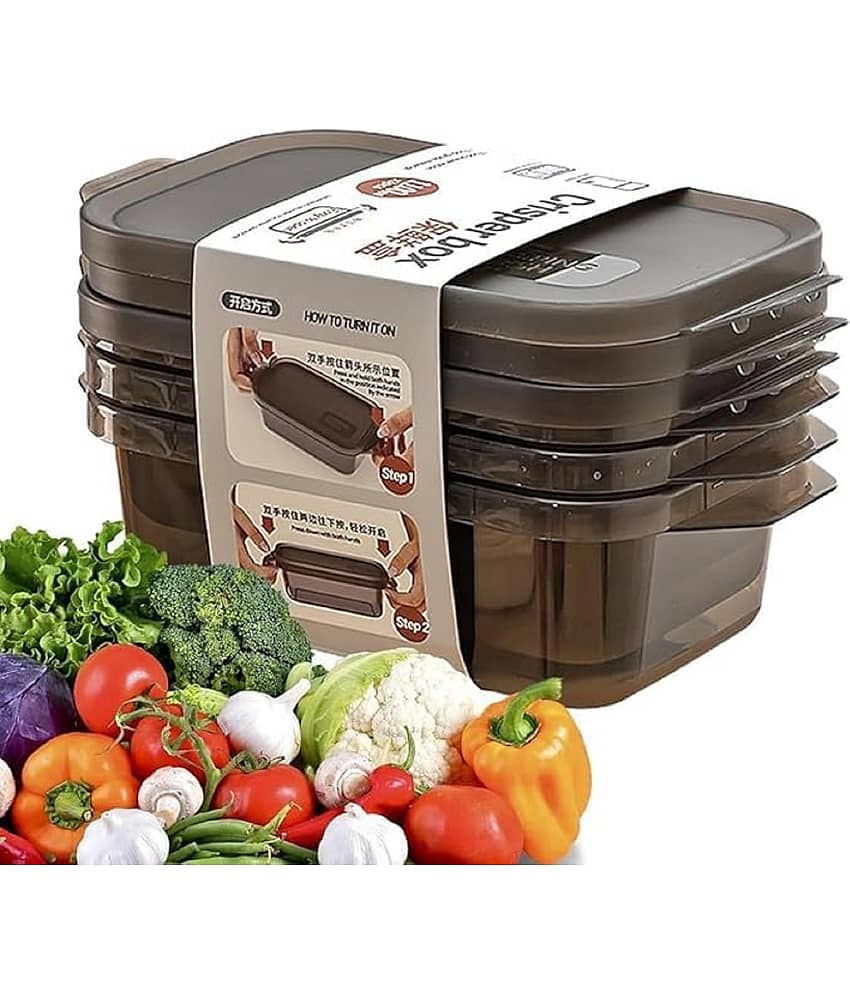 RAVISTRA FridgeSet1200 Plastic Brown Food Container ( Set of 6 )