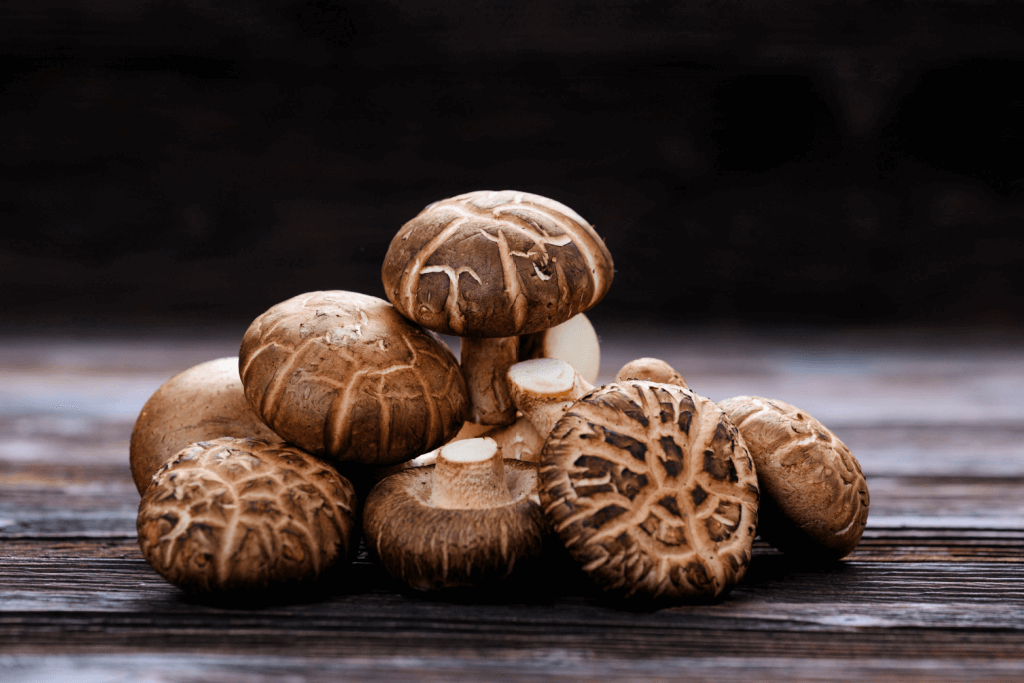 SomaShrooms Shiitake Whole Dried view 2