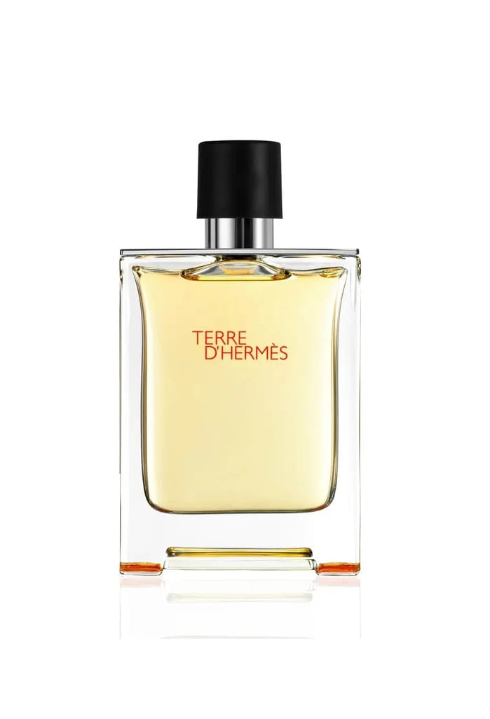 Hermes Terre D'Hermes 100ml Eau De Toilette for Men Perfume Spray view 2