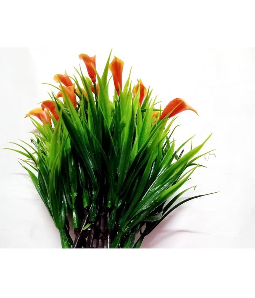 Green plant indoor Wild Flower Orange Flowers With Pot - Pack of 2 view 2