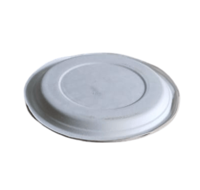 Compostable sugarcane bagasse plates | 100% biodegradable 11 inches view 2