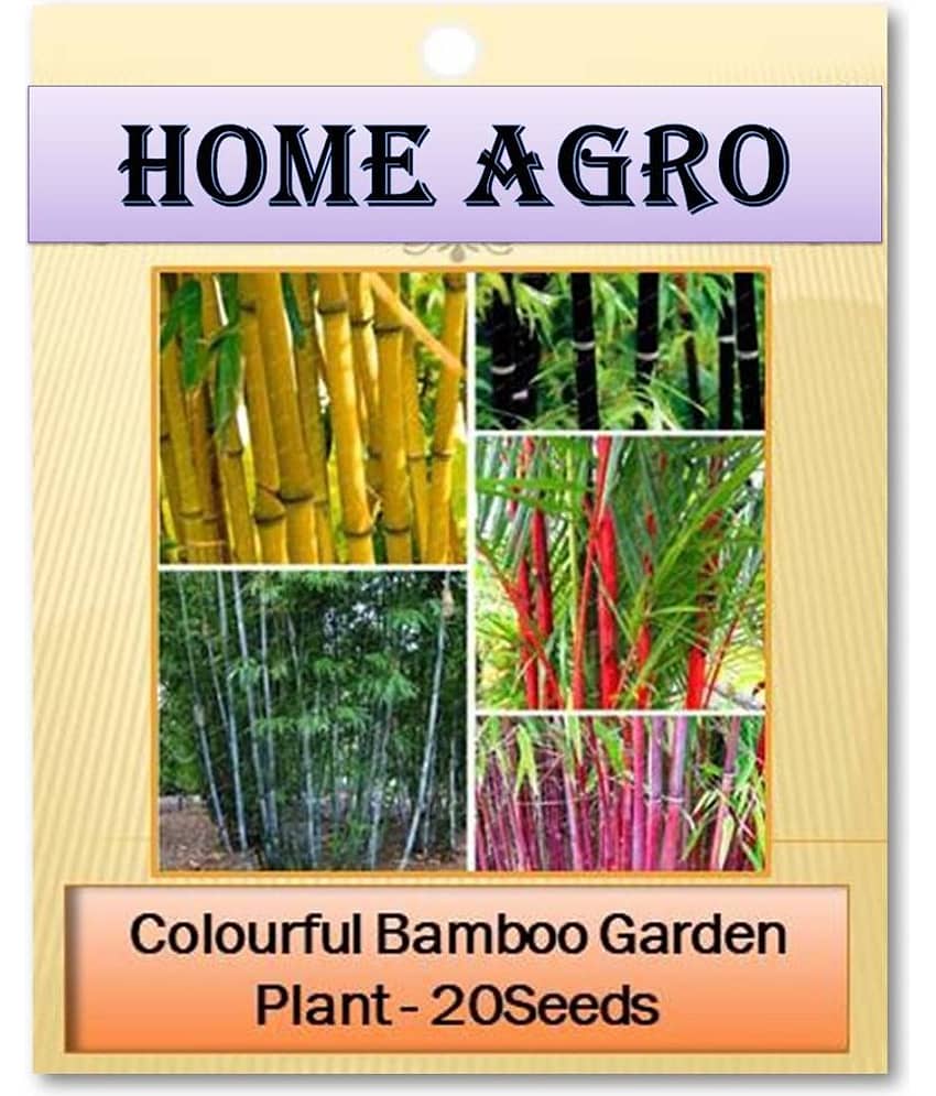 homeagro - Plant Seeds ( 20 )