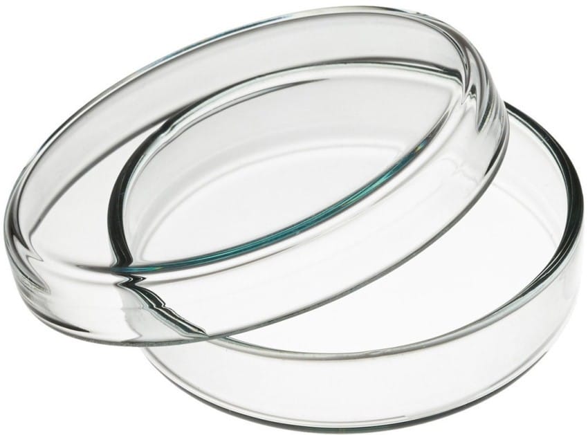 SHIP SHAPE LABWARE PETRI DISHES view 2